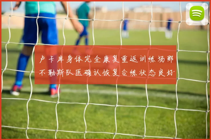 卢卡库身体完全康复重返训练场那不勒斯队医确认恢复合练状态良好