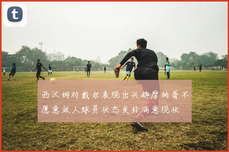西汉姆对戴尔表现出兴趣摩纳哥不愿意放人球员状态良好满意现状